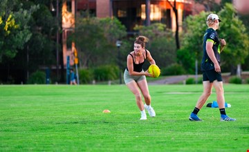 Touch Football